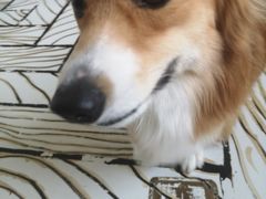 -白夜2D咖啡馆