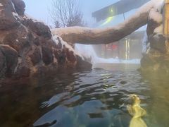 -汉拿山温泉度假酒店