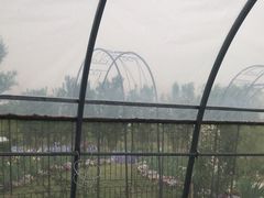 -嘉北郊野公园