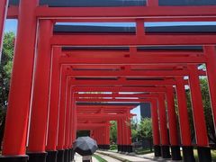 -半坡国际艺术区
