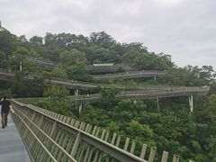 -梅峰山地公园