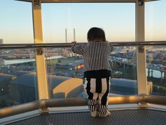 -墨尔本之星 观景摩天轮