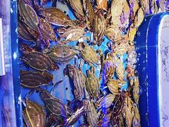 -澜悦港海鲜体验主题餐厅