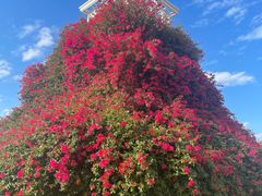 -冰神(火炬路店)