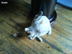 -南京夫子庙国际青年旅舍(平江府路店)