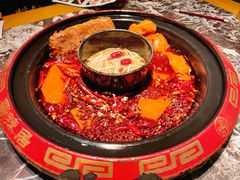 -蜀辣居鲜货老火锅(红牌楼店)