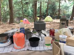 -重庆睡佛山森林公园