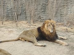 -北京野生动物园