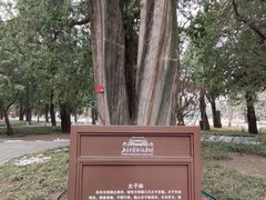 -北京市劳动人民文化宫(太庙)