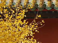 -大觉寺-停车场