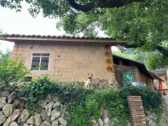 -杨家堂村