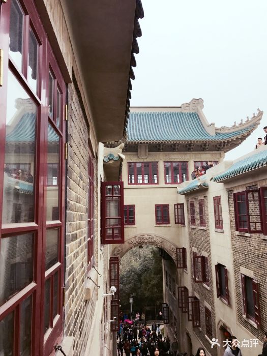 武汉大学樱顶图片