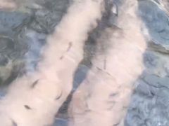 -龙达温泉生态城