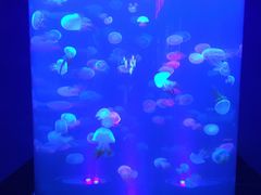 -梦幻海洋王国(吾悦广场张家港店)