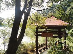 -广州白江湖森林公园