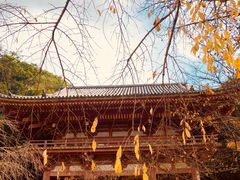 -醍醐寺