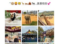 -杭州野生动物世界