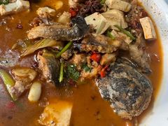 -煲来饱去冷水鱼