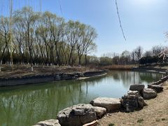 -大兴滨河森林公园