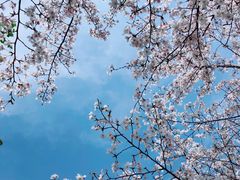 -苏州太湖国家湿地公园
