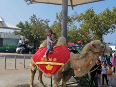 -西霞口神雕山野生动物世界