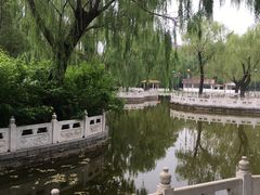 -丰台花园