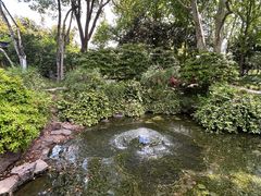 -上海醉白池公园