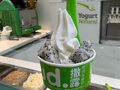 -Salud撒露欧洲冻酸奶(蓝色港湾店)