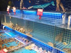 -必点海鲜·鲅鱼水饺(鞍山西道店)