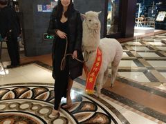 -月星家居广场-路面停车场