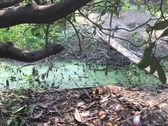 -塘栖枇杷特色园区