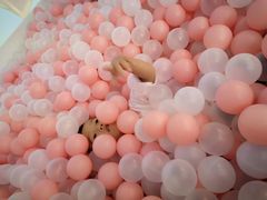 -KIDults童伴儿亲子餐厅(达美中心广场店)