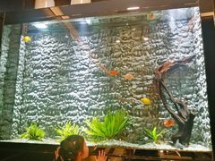 -长沙豪布斯卡酒店(长沙省政府德思勤店)