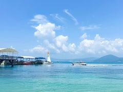 -沿江海南菜·文昌鸡祖师爷(大东海店)