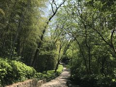 -杭州半山国家森林公园