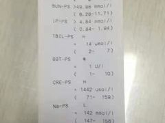 -佳怡动物医院·平价24小时·猫专科骨外科