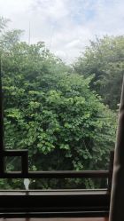 -莲生母婴月子中心(清水河公园店)