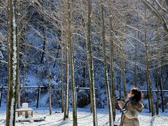 -秦岭终南山世界地质公园翠华山景区