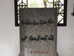 -上海醉白池公园