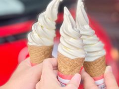-富豪雪糕车流动点(尖沙咀店)