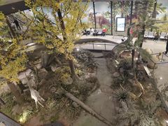 -湖南省地质博物馆