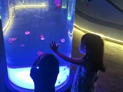 -北戴河圣蓝海洋公园