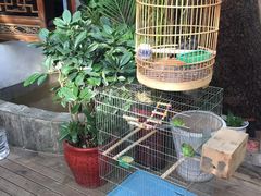 -丽江庭院·云南野生菌·海鲜火锅(鼓楼四合院店)