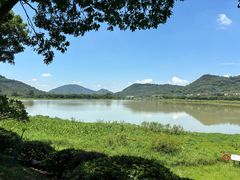 -风云岭森林公园