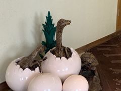 -恐龙人俱乐部