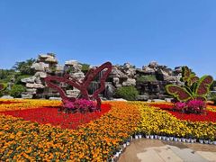 -石家庄市植物园