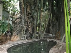 -龙达温泉生态城