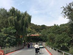 -沈阳鸟岛