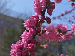 -大连外国语大学(旅顺校区)