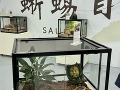 -新汇大融城